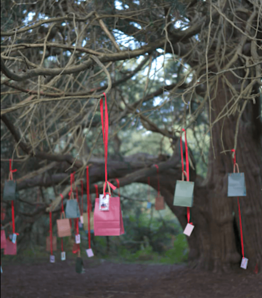 Sorme-ye Khak — Guildford Forests